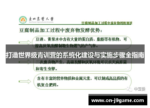 打造世界级青训营的系统化建设与实施步骤全指南